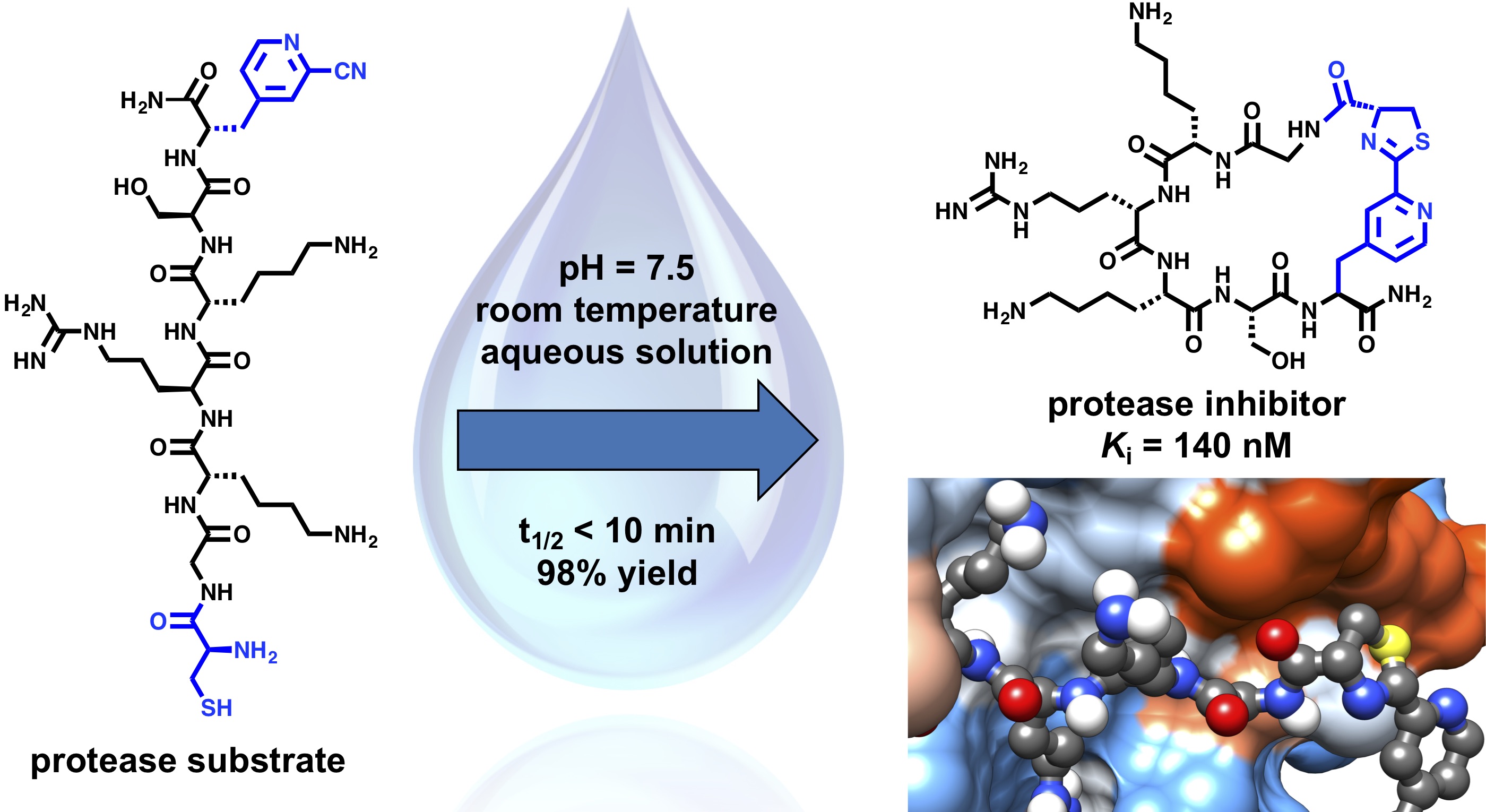 Table of contents graphic.jpg